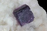Dark Purple Cubic Fluorite on Quartz - China #94314-2